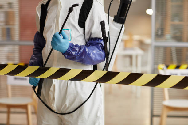 Professional Sewage Cleanup technician working in Palmyra, NE